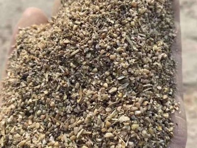 玉米下脚料 碎麦子粮食筛漏 鸭鹅养殖玉米渣子 加工家禽饲料用图5