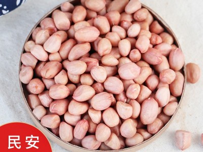 山东不带壳红皮干花生米330克大粒生花生新货农家白沙花生仁批发图3