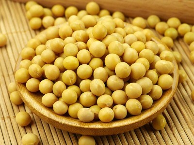 有机黄豆450g黄豆打豆浆生豆芽专用东北大豆农家新黄豆五谷杂粮图2