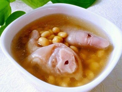 有机黄豆450g黄豆打豆浆生豆芽专用东北大豆农家新黄豆五谷杂粮图4