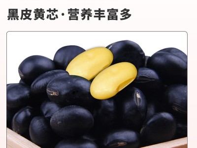 赤川 黑豆小黑扁豆肾型黑豆黑皮黄芯（ 无染色 黑豆浆 五谷杂粮图2