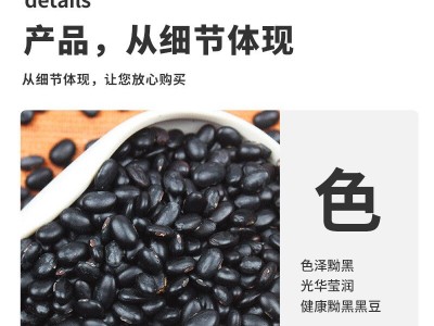 赤川 黑豆小黑扁豆肾型黑豆黑皮黄芯（ 无染色 黑豆浆 五谷杂粮图4