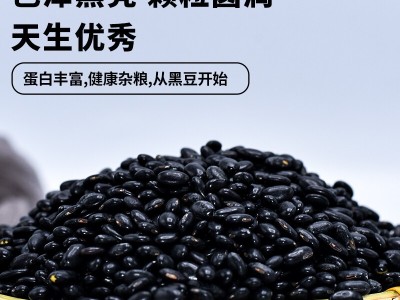 赤川 黑豆小黑扁豆肾型黑豆黑皮黄芯（ 无染色 黑豆浆 五谷杂粮图5