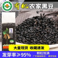 山西有机黑豆农家真空装肾形黄心黑豆500g五谷杂粮非绿心黑豆批发