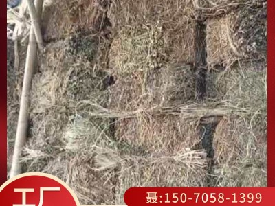 压捆花生秧 干花生秧 牛羊兔青贮 植物性饲料 植物性干饲料图1