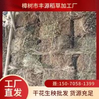 压捆花生秧 干花生秧 牛羊兔青贮 植物性饲料 植物性干饲料