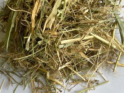 青干草牧草饲料干青草 牛羊草料芦苇草干草植物性饲料图3