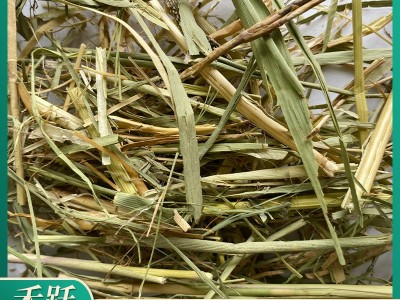 青干草牧草饲料干青草 牛羊草料芦苇草干草植物性饲料图2