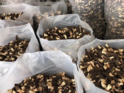 云南高原羊肚菌干货菌汤包食材人工菌菇煲汤产地批发图5