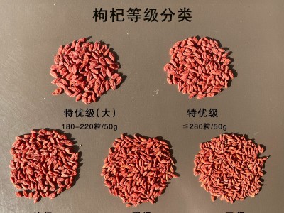 产地货源2022新货枸杞子宁夏中宁枸杞250g袋装枸杞特级红枸杞批发图2