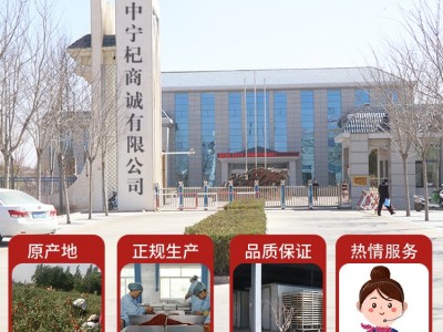 产地货源2022新货枸杞子宁夏中宁枸杞250g袋装枸杞特级红枸杞批发图4