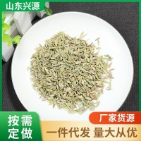 批发烧烤料腌料小茴香 火锅煲汤煮肉增香调味香辛料卤料调味品粉