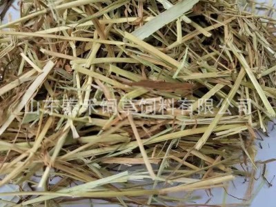 提摩西草奶牛梯牧草草段短方便喂食草质软杆叶绿适合各种动物食用图2