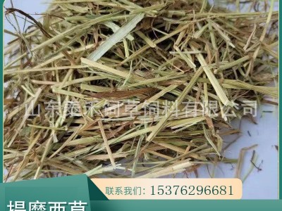提摩西草奶牛梯牧草草段短方便喂食草质软杆叶绿适合各种动物食用图3