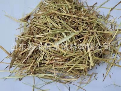 提摩西草奶牛梯牧草草段短方便喂食草质软杆叶绿适合各种动物食用图4