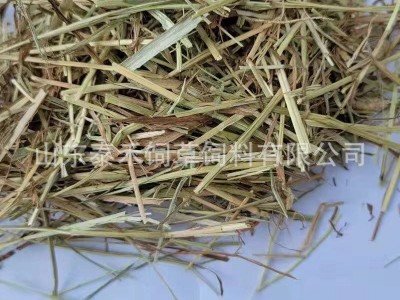提摩西草奶牛梯牧草草段短方便喂食草质软杆叶绿适合各种动物食用图5