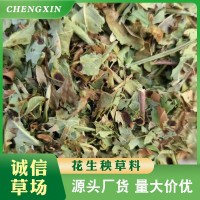 正阳花生秧牧草牛羊草料 厂家批发动物饲料 牛羊青贮花生秧粗饲料