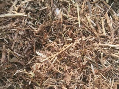 正阳花生秧牧草牛羊草料 厂家批发动物饲料 牛羊青贮花生秧粗饲料图3