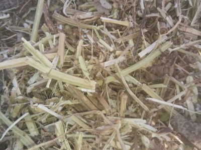 正阳花生秧牧草牛羊草料 厂家批发动物饲料 牛羊青贮花生秧粗饲料图5