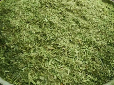 厂家批发家畜家禽紫花苜蓿草粉今年新草30公斤袋装饲料厂水产牧草图3