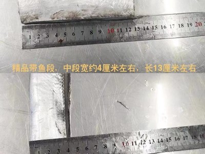 精品无冰衣带鱼段500克 带鱼新鲜冷冻海鲜刀鱼中段鲜活带鱼1KG图4