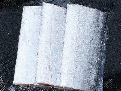 精品无冰衣带鱼段500克 带鱼新鲜冷冻海鲜刀鱼中段鲜活带鱼1KG图3
