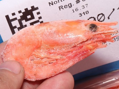 头籽腹籽北极甜虾美人鱼牌原装进口 青岛港进口海鲜冷冻进口虾图5
