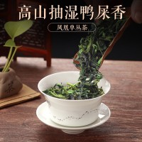 抽湿鸭屎香凤凰单枞茶 潮州单枞高山新茶单从兰花香 清香绿叶单丛