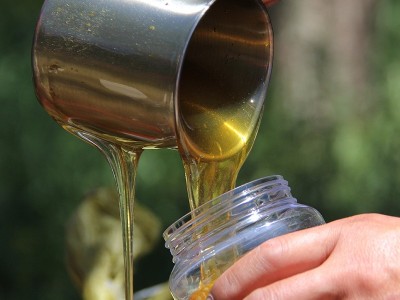 荞麦蜜蜂蜜批发土蜂蜜原料加工出口外销oem条形蜜勺子蜜代工贴牌图5