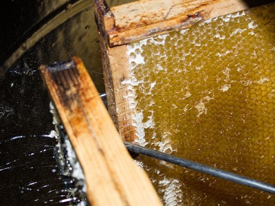 百花蜜原料供应贴牌加工定制oem土蜂蜜洋槐蜜小包装条形蜜代工图4