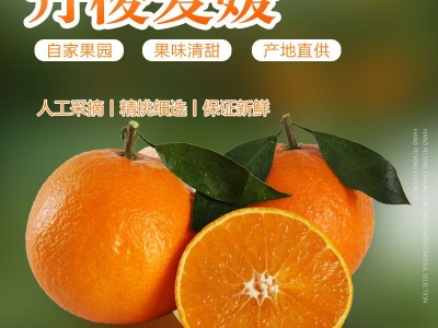彩箱 四川丹棱爱媛38号果冻橙 现摘现发 柑橘蜜 细嫩多汁孕妇水果图3
