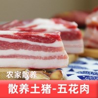 红烧肉带皮五花肉整块土猪肉黑猪肉新鲜现杀山林散养烤肉整箱批发