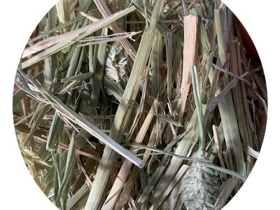 美国提摩西草 梯牧草 猫尾草 布狗尾马羊驼兔龙猫 高纤维防治毛球图5