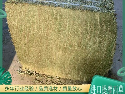 美国提摩西草 梯牧草 猫尾草 布狗尾马羊驼兔龙猫 高纤维防治毛球图3