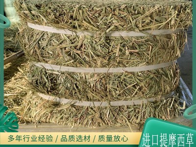 美国提摩西草 梯牧草 猫尾草 布狗尾马羊驼兔龙猫 高纤维防治毛球图4