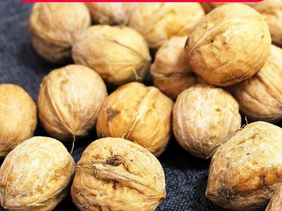 新货核桃仁原味每日坚果原料 薄皮核桃零食坚果散装批发核桃坚果图4