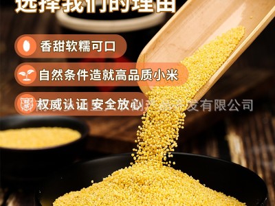 黄小米批发5斤装黄小米新米月子米宝宝米 农家种植新鲜杂粮小米图2