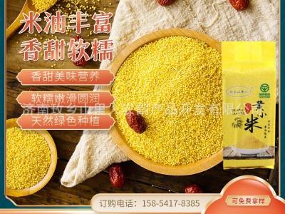 黄小米批发5斤装黄小米新米月子米宝宝米 农家种植新鲜杂粮小米图1