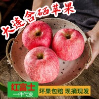 大连含硒糖心富士条纹苹果现摘现发一件代发4斤整箱水果新鲜包邮