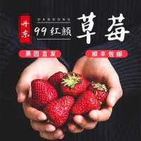 丹东99草莓3斤新鲜现摘红颜东港大草莓精选大果35g+【顺丰包邮】