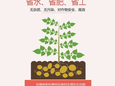 中微量元素水溶肥料厂家直营钙镁锌硼底肥硅肥叶面肥瓜果专用肥料图5