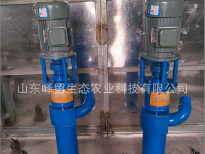 304不锈钢污水泵 养殖场化粪池专用排污水泵 立式污水泵图5
