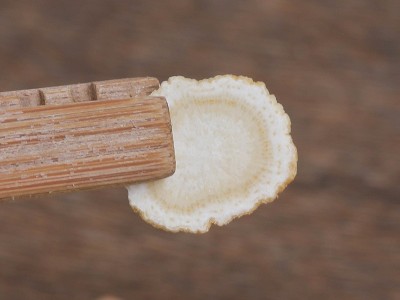 长白山西洋参切片东北西洋参片花旗参批发软支硬支支持代发打粉图5