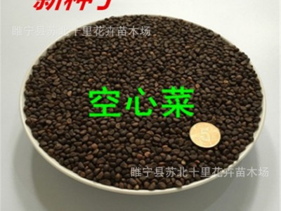 直销空心菜种子 小葫芦种子 西葫芦种子 大葫芦种子 品质保证图5