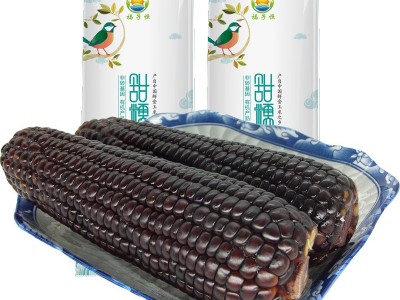 代发福子恒紫糯玉米棒粘玉米黑黏玉米新鲜甜糯真空包装熟玉米整箱图1