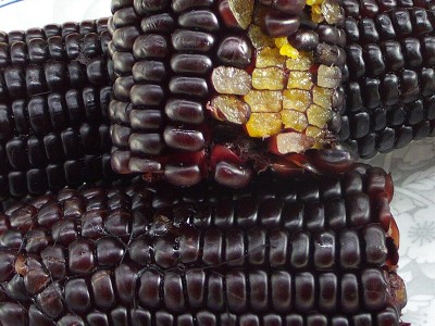 代发福子恒紫糯玉米棒粘玉米黑黏玉米新鲜甜糯真空包装熟玉米整箱图4