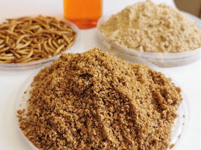 大麦虫干品 黄粉虫干 金黄色5-6CM塑料袋密封包装 龟鸟鱼宠物饲料图5