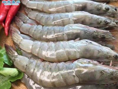 青岛大青虾批发 草虾对虾整箱冷冻水产品批发 商超烧烤冷冻大青虾图2