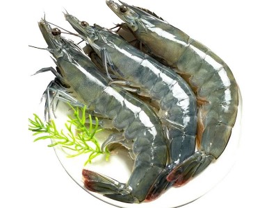 青岛大青虾批发 草虾对虾整箱冷冻水产品批发 商超烧烤冷冻大青虾图4