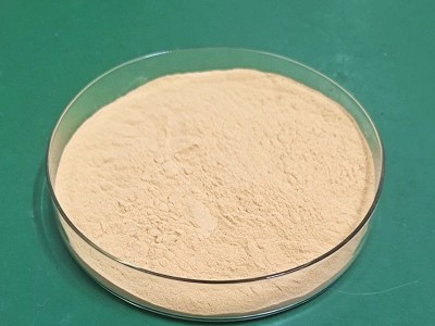 厂家现货供应饲料级富硒酵母动物营养饲料添加剂酵母硒2000ppm图2